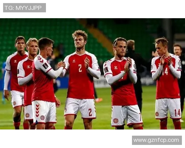 波兰与奥地利欧预赛精彩对决分析及赛后点评 波兰与奥地利欧预赛精彩对决分析及赛后点评